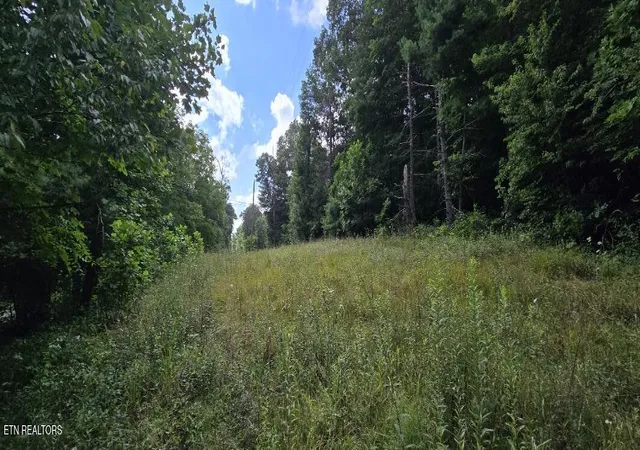 1st image of Honey Creek Loop Rd, Robbins, TN 37852 | MLS# 1349015