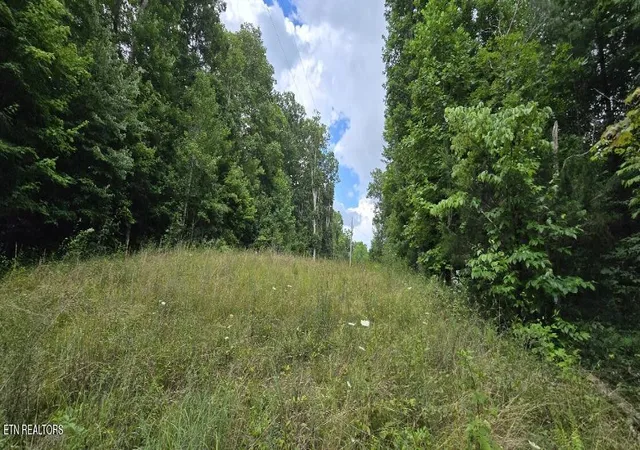 2nd image of Honey Creek Loop Rd, Robbins, TN 37852 | MLS# 1349015