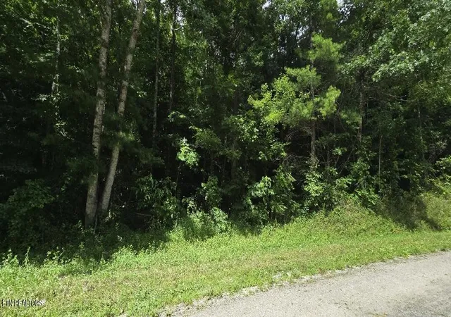 3rd image of Honey Creek Loop Rd, Robbins, TN 37852 | MLS# 1349015