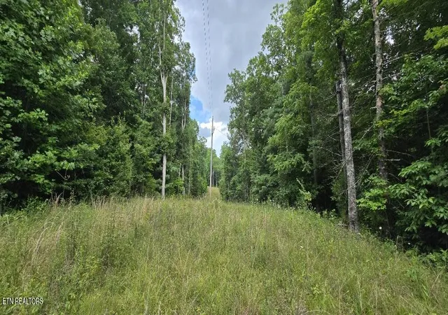 5th image of Honey Creek Loop Rd, Robbins, TN 37852 | MLS# 1349015