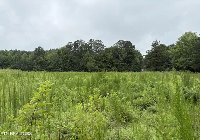 Photo 3 of Sale Pending at County Rd 42, Calhoun, TN 37309 | MLS# 1348786 | Listing updated on 2026-09-23