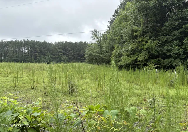 8th image of County Rd 42, Calhoun, TN 37309 | MLS# 1348786
