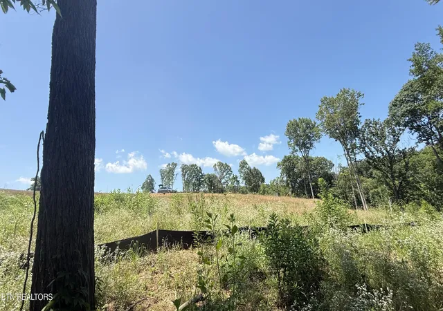 3rd image of 2828 Sw Shorewoood Pt, Morristown, TN 37814 | MLS# 1348818