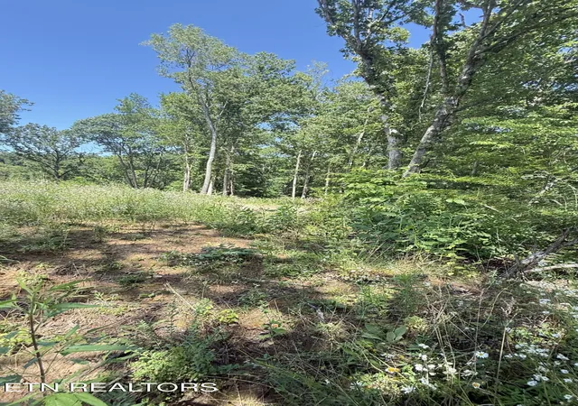 4th image of 2828 Sw Shorewoood Pt, Morristown, TN 37814 | MLS# 1348818