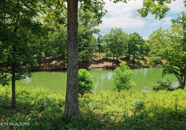 19th image of 259 Careen Ct, Lenoir City, TN 37772 | MLS# 1348811