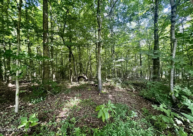 Photo 1 of Sale Pending at 0 Greenwell Rd, Knoxville, TN 37938 | MLS# 1348813 | Listing updated on 2026-08-29
