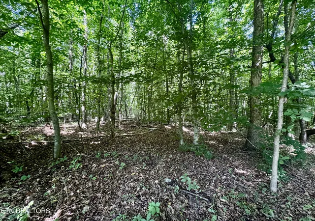 Photo 2 of Sale Pending at 0 Greenwell Rd, Knoxville, TN 37938 | MLS# 1348813 | Listing updated on 2026-08-29