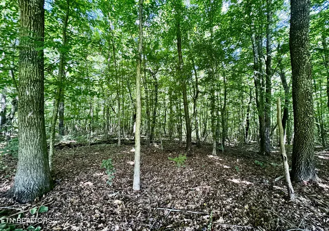Photo 3 of Sale Pending at 0 Greenwell Rd, Knoxville, TN 37938 | MLS# 1348813 | Listing updated on 2026-08-29