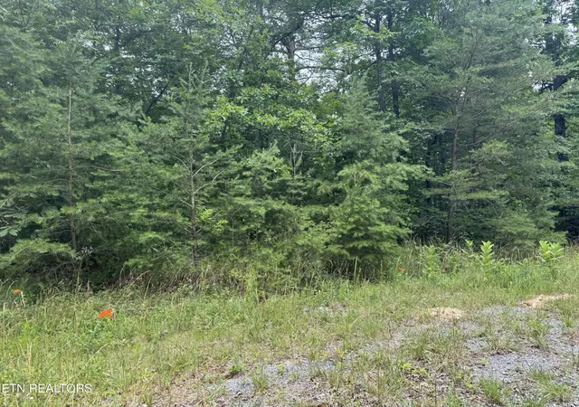 Photo 2 of Land for sale at 8941 Pima Dr, Crossville, TN 38572 | MLS# 1348826 | Listing updated on 2026-09-29