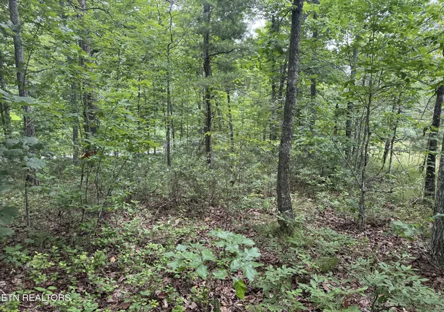 Photo 3 of Land for sale at 8941 Pima Dr, Crossville, TN 38572 | MLS# 1348826 | Listing updated on 2026-09-29