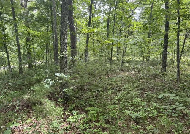 Photo 3 of Land for sale at 8941 Pima Dr, Crossville, TN 38572 | MLS# 1348826 | Listing updated on 2026-09-29