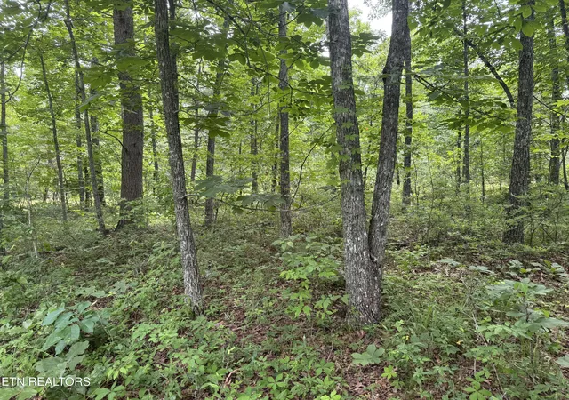 Photo 4 of Land for sale at 8941 Pima Dr, Crossville, TN 38572 | MLS# 1348826 | Listing updated on 2026-09-29