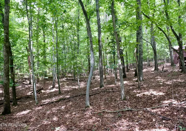 16th image of 756 Ewing Cemetery Rd, Spring City, TN 37381 | MLS# 1348827
