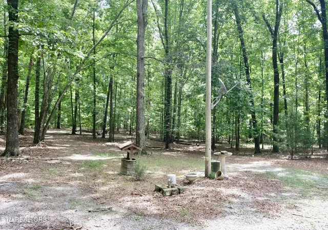 image of 756 Ewing Cemetery Rd, Spring City, TN 37381 | MLS# 1348827