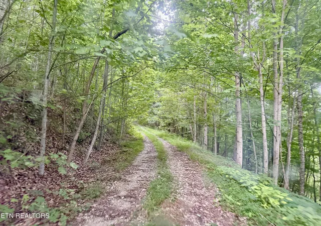 4th image of Marcum Creek Rd, Oneida, TN 37841 | MLS# 1348851