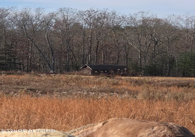 5th image of 304 Barnett Bridge Rd, Lancing, TN 37770 | MLS# 1348907