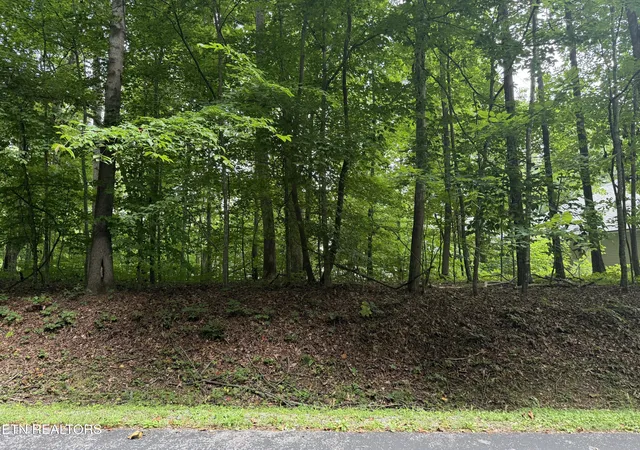 image of 324 Dudala Pt, Loudon, TN 37774 | MLS# 1348935