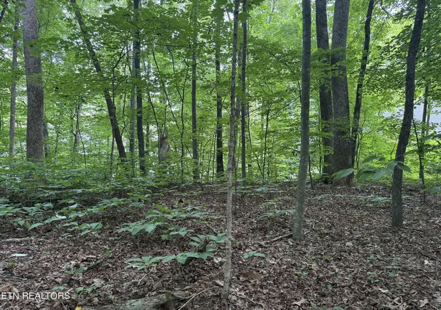 image of 324 Dudala Pt, Loudon, TN 37774 | MLS# 1348935