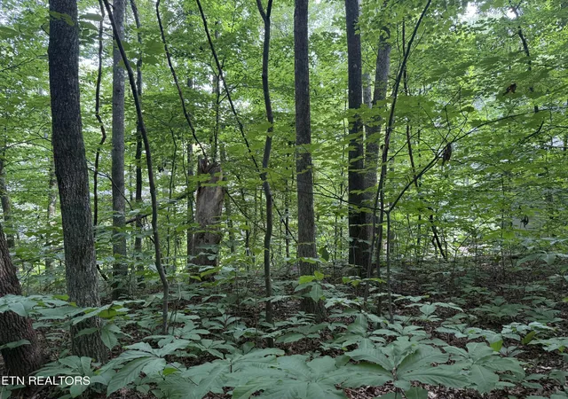 image of 324 Dudala Pt, Loudon, TN 37774 | MLS# 1348935