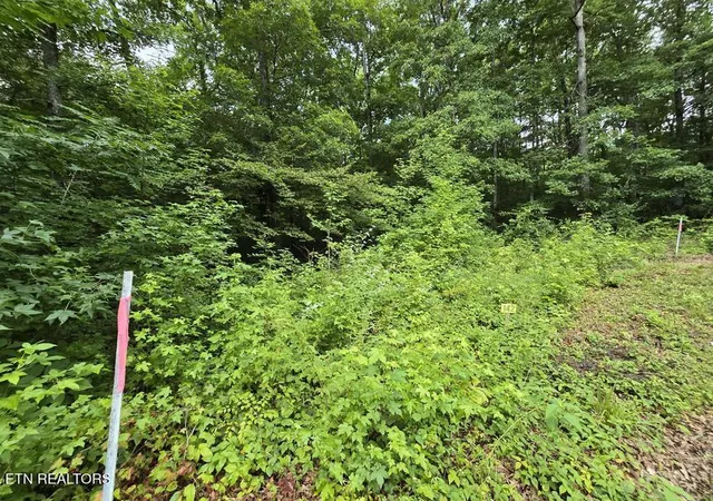 Photo 3 of Land for sale at Lot 142 Lower Brow Rd, Dunlap, TN 37327 | MLS# 1348927 | Listing updated on 2026-08-12