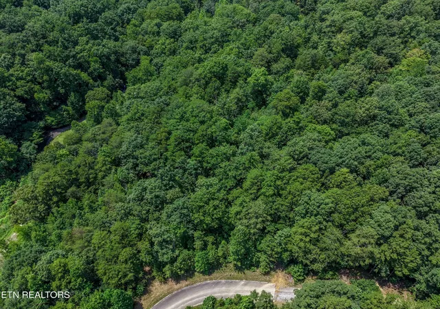 Photo 3 of Land for sale at Lot 155 Lower Brow Rd, Dunlap, TN 37327 | MLS# 1348933 | Listing updated on 2026-08-12