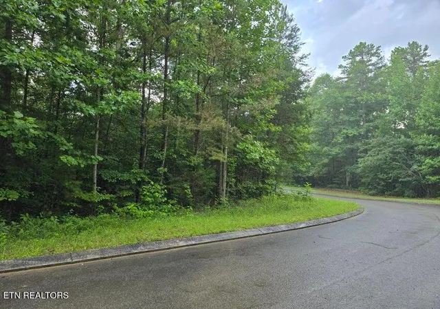 Photo 1 of Land for sale at Lot 156 Lower Brow Rd, Dunlap, TN 37327 | MLS# 1348938 | Listing updated on 2026-08-12