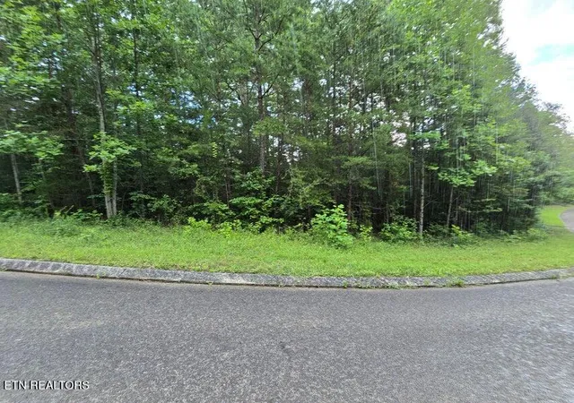 Photo 2 of Land for sale at Lot 156 Lower Brow Rd, Dunlap, TN 37327 | MLS# 1348938 | Listing updated on 2026-08-12