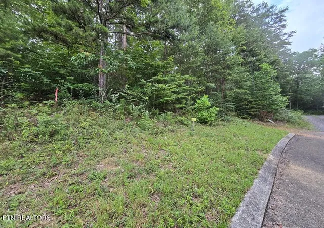 Photo 2 of Land for sale at Lot 157 Lower Brow Rd, Dunlap, TN 37327 | MLS# 1348939 | Listing updated on 2026-08-12