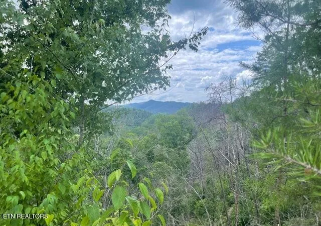 Photo 1 of Land for sale at Lot 4 River Birch Way, Sevierville, TN 37862 | MLS# 1348971 | Listing updated on 2026-07-21