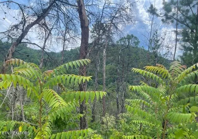 Photo 3 of Land for sale at Lot 4 River Birch Way, Sevierville, TN 37862 | MLS# 1348971 | Listing updated on 2026-07-21