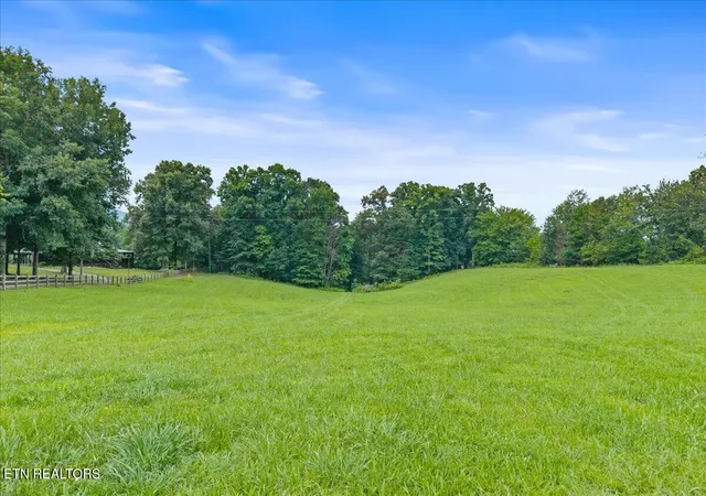 51st image of 160 Rural Vale Rd, Tellico Plains, TN 37385 | MLS# 1349997