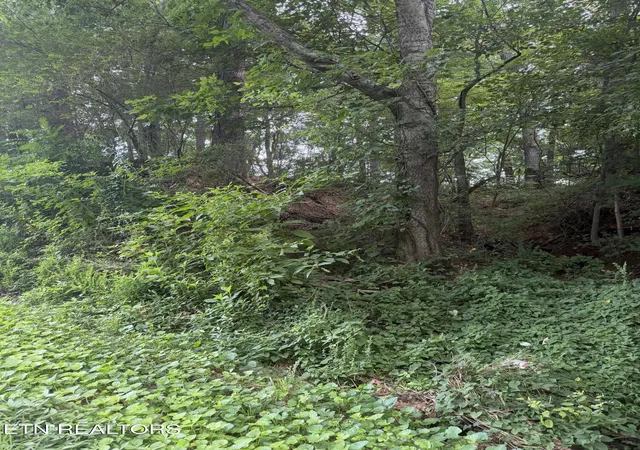 3rd image of 143 Ac Randolph Fridley Rd, Sweetwater, TN 37874 | MLS# 1348990