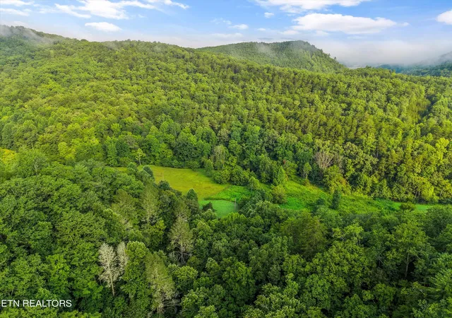 60th image of 813 Steer Creek Rd, Tellico Plains, TN 37385 | MLS# 1350146