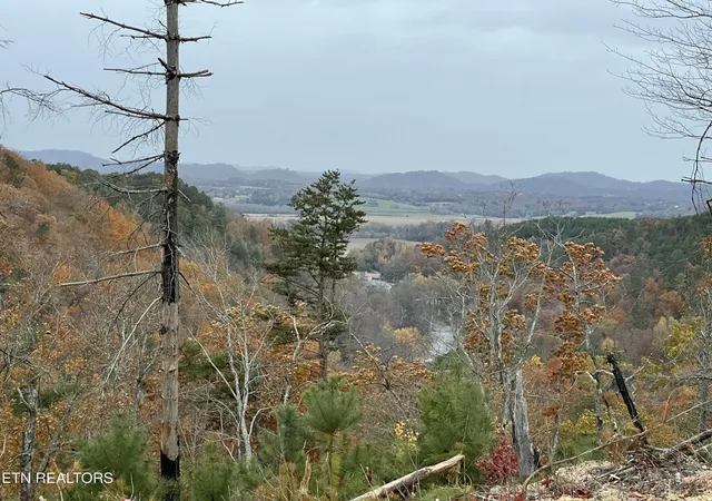 Photo 3 of Land for sale at 157 Quarry Crk Rd #Lot 4, Tellico Plains, TN 37385 | MLS# 1349017 | Listing updated on 2026-09-09