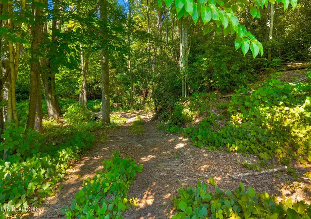 2nd image of 14 Acres Halls Top Rd, Newport, TN 37821 | MLS# 1349115