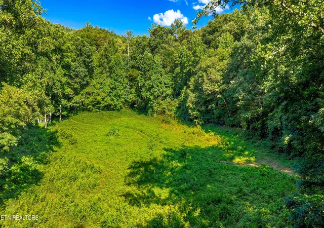 3rd image of 14 Acres Halls Top Rd, Newport, TN 37821 | MLS# 1349115
