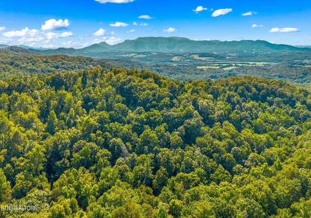 5th image of 14 Acres Halls Top Rd, Newport, TN 37821 | MLS# 1349115