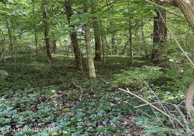 Photo 1 of Sale Pending at 2506 Shaler Ln, Knoxville, TN 37920 | MLS# 1349032 | Listing updated on 2026-09-18
