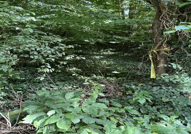 Photo 3 of Sale Pending at 2506 Shaler Ln, Knoxville, TN 37920 | MLS# 1349032 | Listing updated on 2026-09-18
