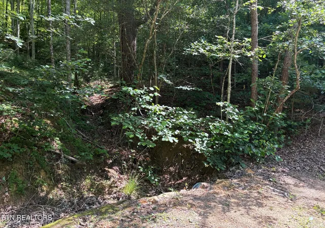 Photo 1 of Land for sale at Claude Shields Way, Sevierville, TN 37876 | MLS# 1349456 | Listing updated on 2026-07-25