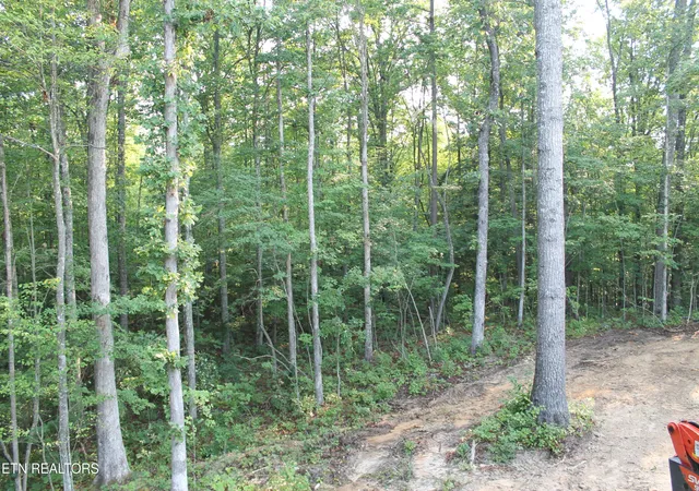 Photo 3 of Single family home for sale at 141 Creekview Ct, Jamestown, TN 38556 | MLS# 1349195 | Listing updated on 2026-08-20