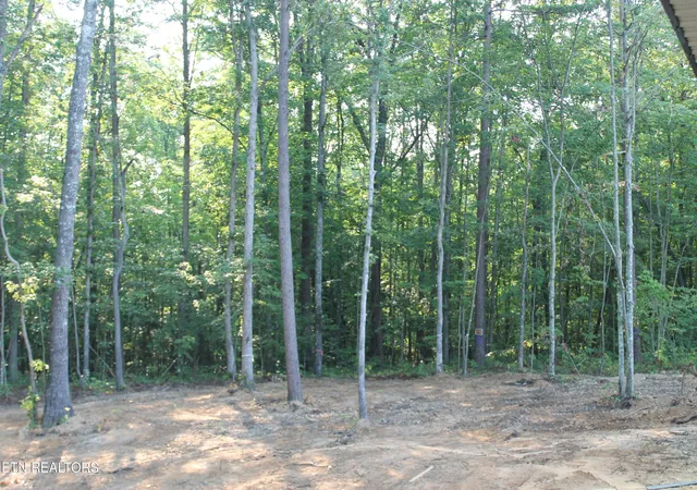Photo 4 of Single family home for sale at 141 Creekview Ct, Jamestown, TN 38556 | MLS# 1349195 | Listing updated on 2026-08-20