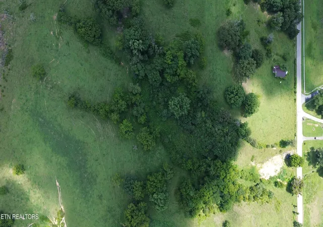 13th image of 741 Wilson Hale Rd, Morristown, TN 37813 | MLS# 1349096
