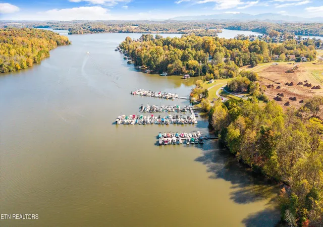 19th image of 105 Agaya Tr, Vonore, TN 37885 | MLS# 1349275