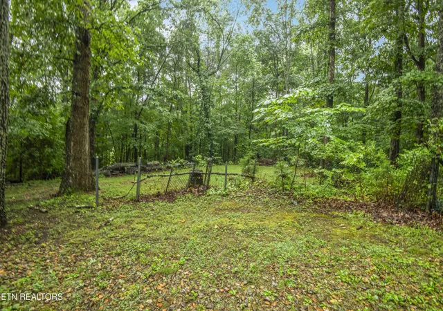 46th image of 117 Skyline Ln, Powell, TN 37849 | MLS# 1349229