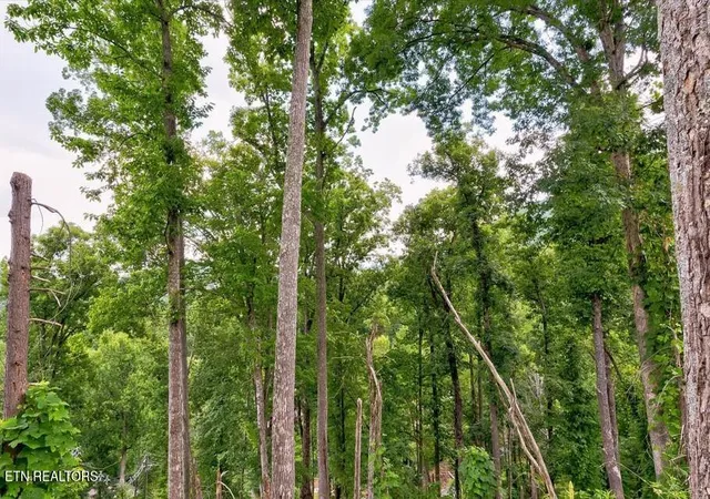 3rd image of 329 Silverbell Ln, Gatlinburg, TN 37738 | MLS# 1349145