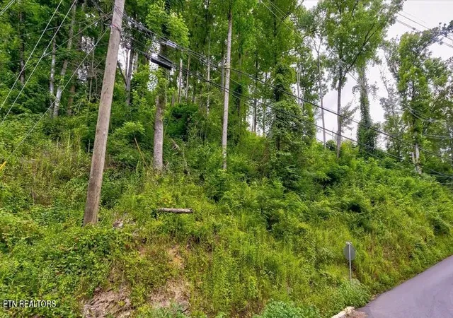 4th image of 329 Silverbell Ln, Gatlinburg, TN 37738 | MLS# 1349145