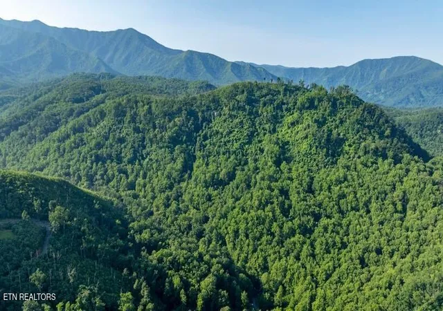 5th image of 329 Silverbell Ln, Gatlinburg, TN 37738 | MLS# 1349145