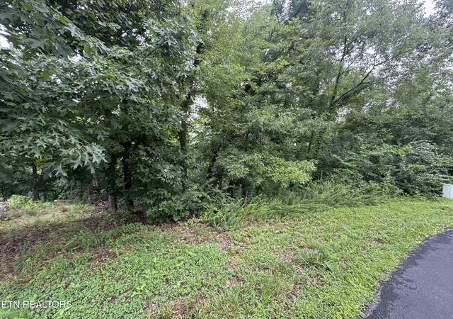 image of 312 Skiatook Cir, Loudon, TN 37774 | MLS# 1349249