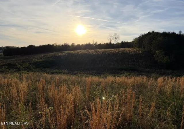 5th image of Lot 11 Curtis Rd, Tellico Plains, TN 37385 | MLS# 1349267